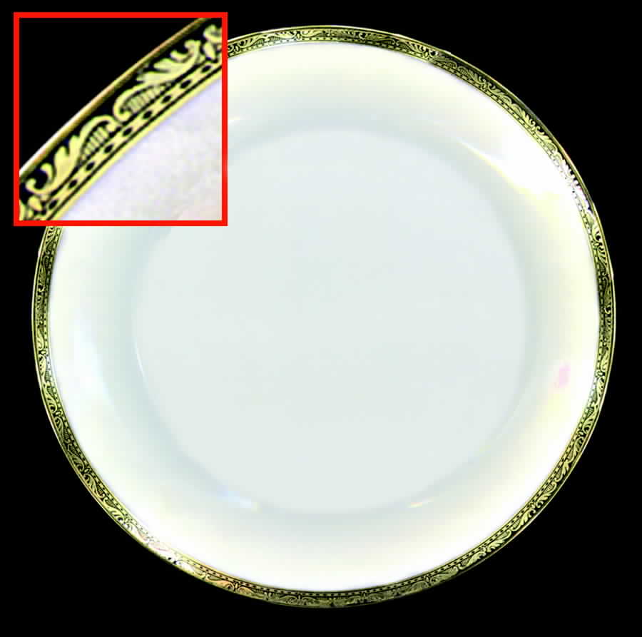 TIR193 Dinner Plate by Tirschenreuth-1