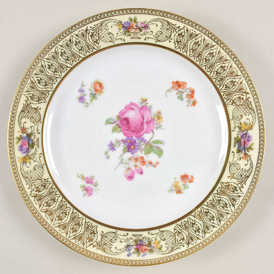 TIR195 Dinner Plate by Tirschenreuth-1