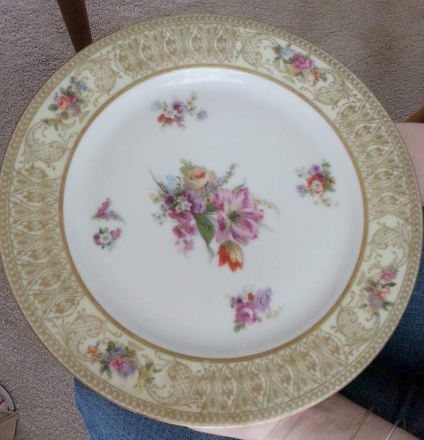 TIR195 Dinner Plate by Tirschenreuth-1