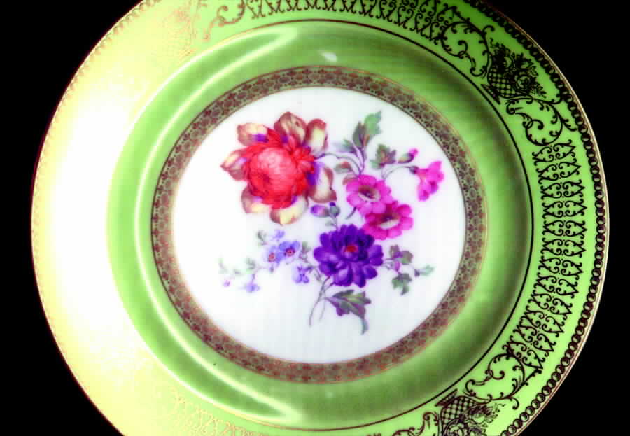 TIR197 Dinner Plate by Tirschenreuth-1