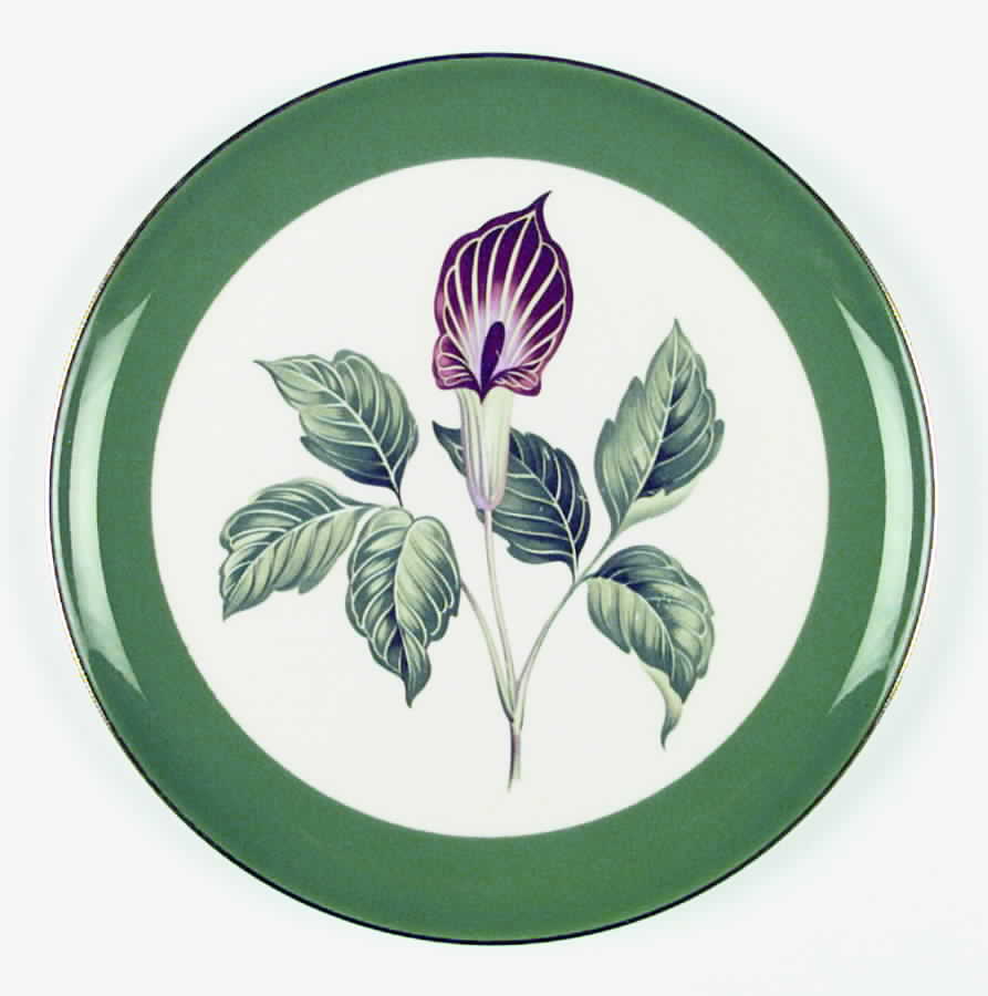 TST384 Dinner Plate by Taylor, Smith & Taylor (Ts&T)-1