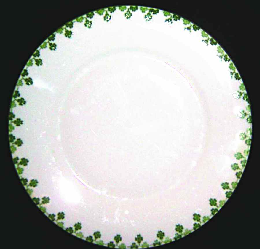 5013 Dinner Plate by Thomas-1