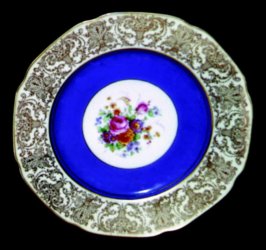 TIR203 Dinner Plate by Tirschenreuth-1