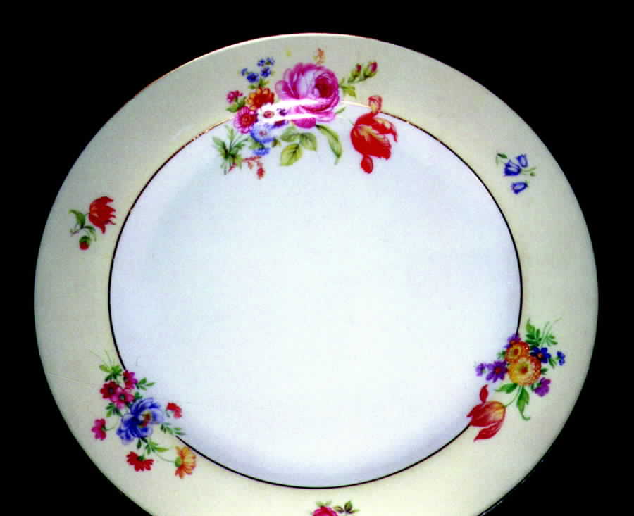 TIR208 Dinner Plate by Tirschenreuth-1