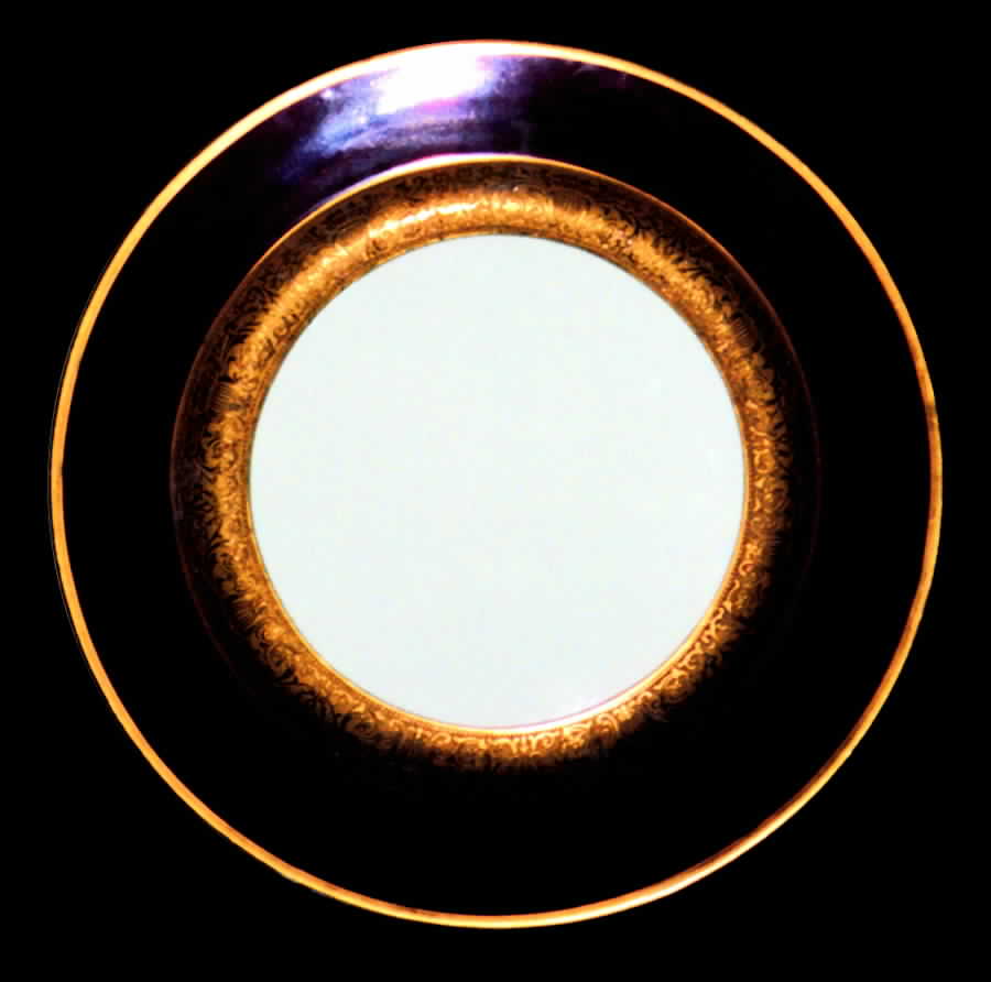 TIR211 Dinner Plate by Tirschenreuth-1