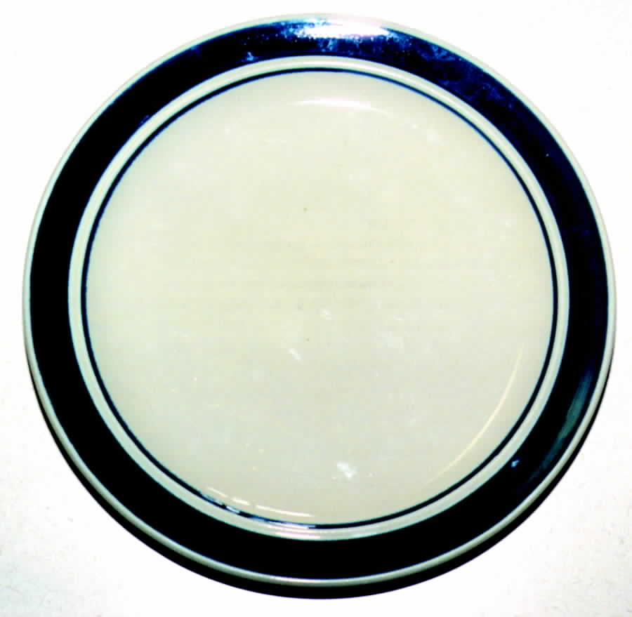 TIE23 Dinner Plate by Tienshan-1