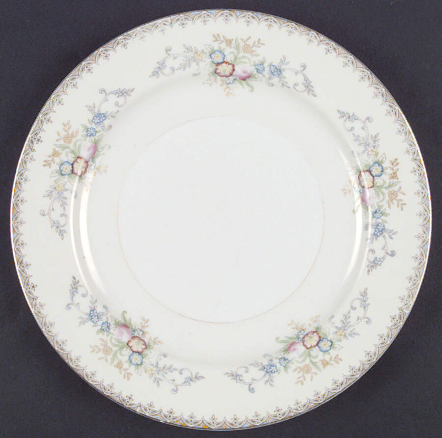 TSW6 Dinner Plate by Transor Ware (Japan)-1
