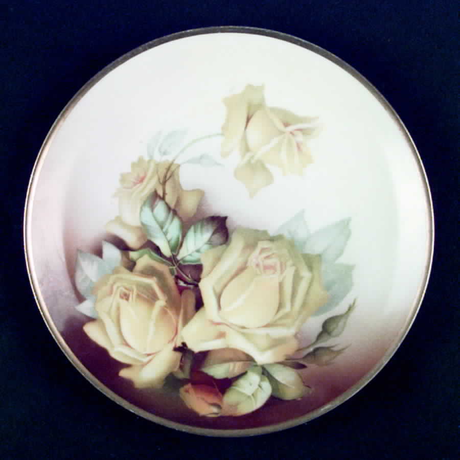 THO148 Luncheon Plate by Thomas-1