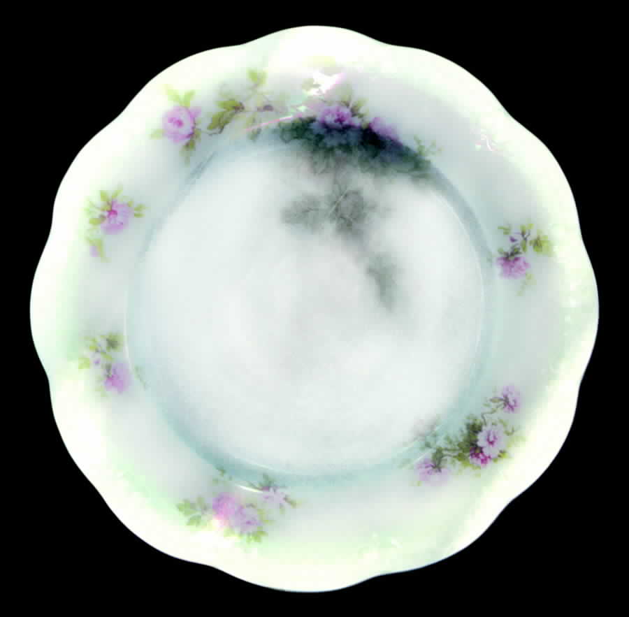 TRV230 Bread & Butter Plate by Tressemanes & Vogt-1