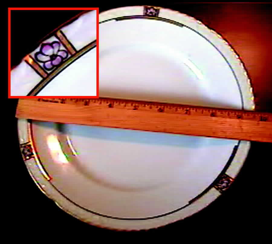 THO149 Dinner Plate by Thomas-1