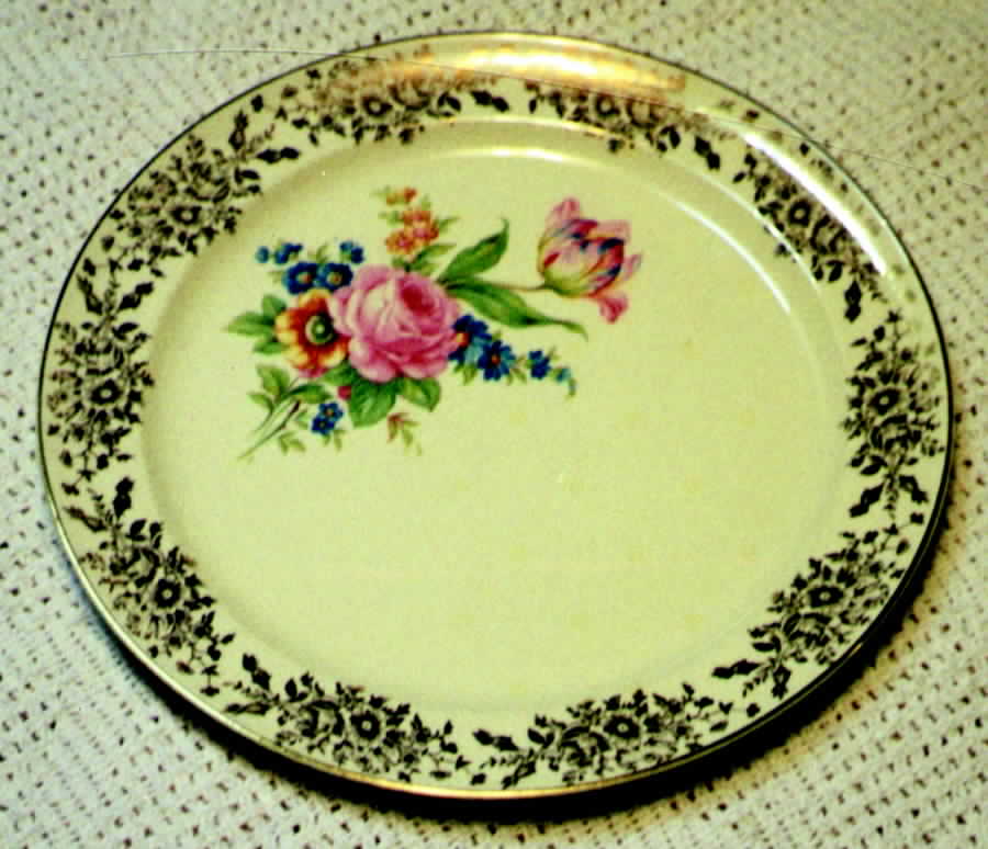 TST398 Dinner Plate by Taylor, Smith & Taylor (Ts&T)-1