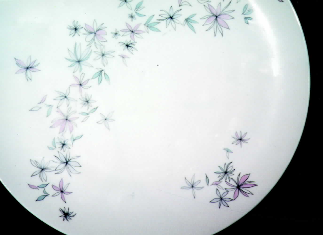 THO152 Dinner Plate by Thomas-1