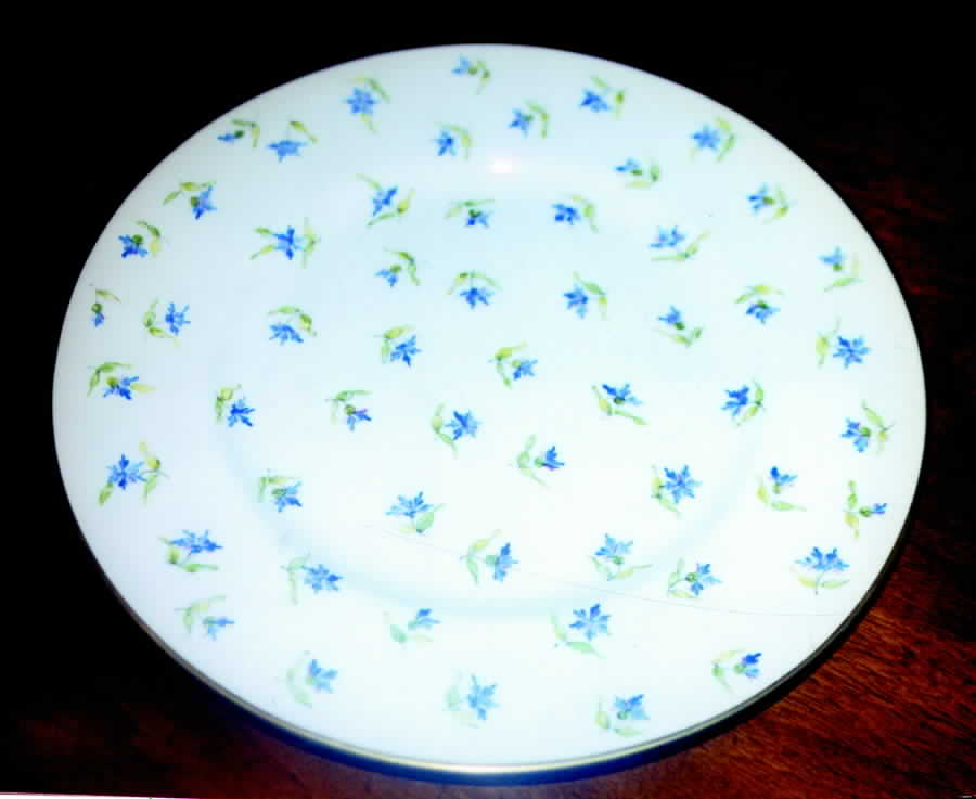 TIC19 Dinner Plate by Tiffany-1