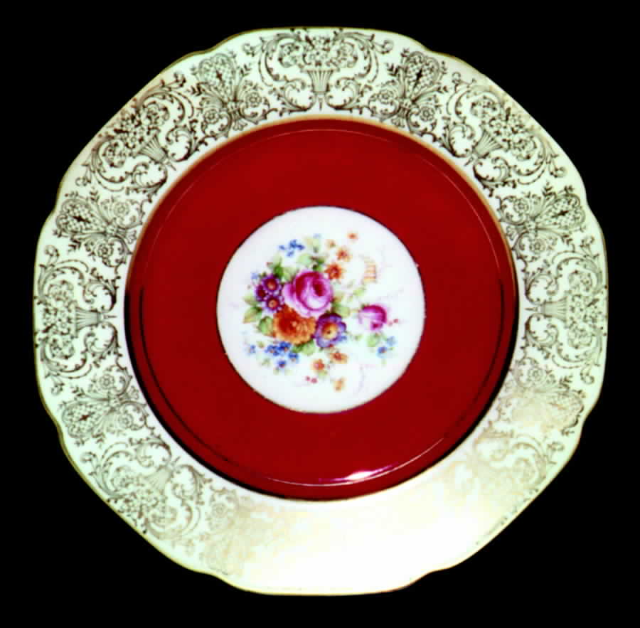 TIR220 Dinner Plate by Tirschenreuth-1