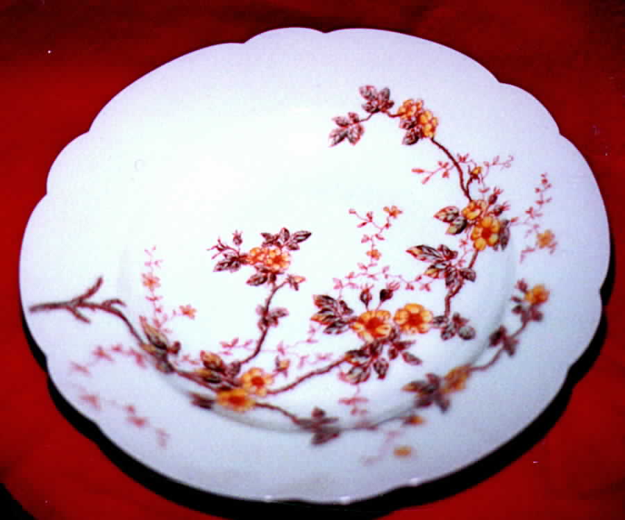 TRV245 Rim Soup Bowl by Tressemanes & Vogt-1