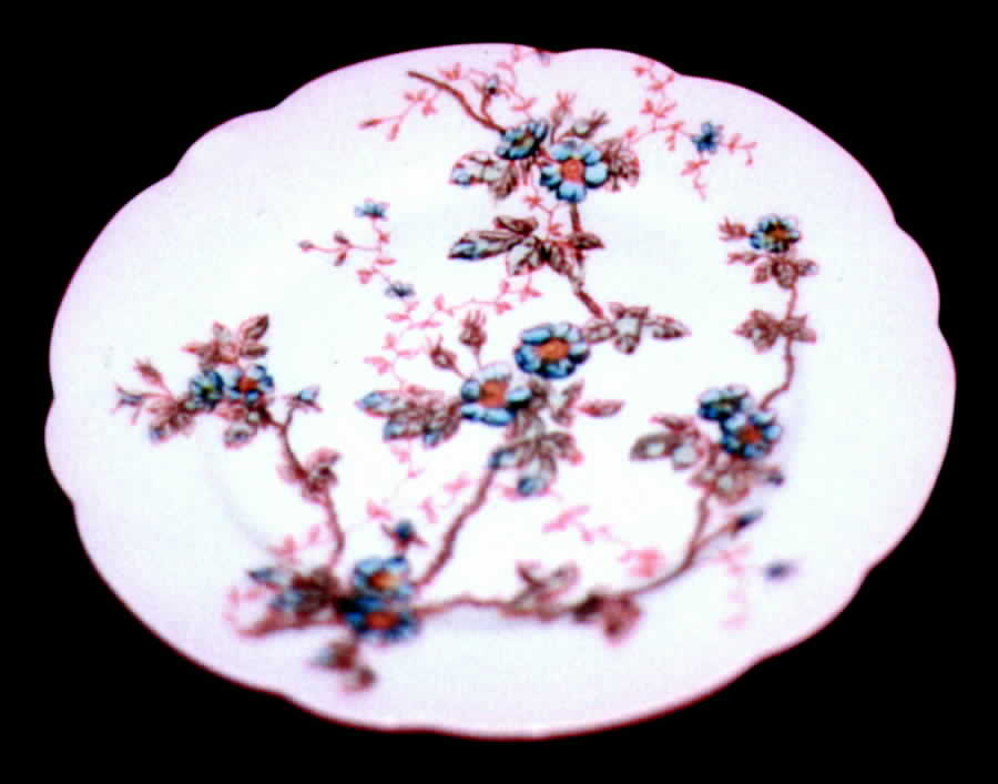 TRV245 Salad Plate by Tressemanes & Vogt-1