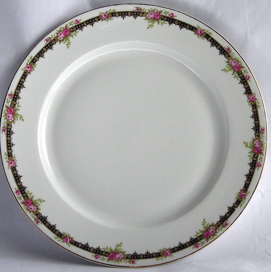 TRV249 Dinner Plate by Tressemanes & Vogt-1