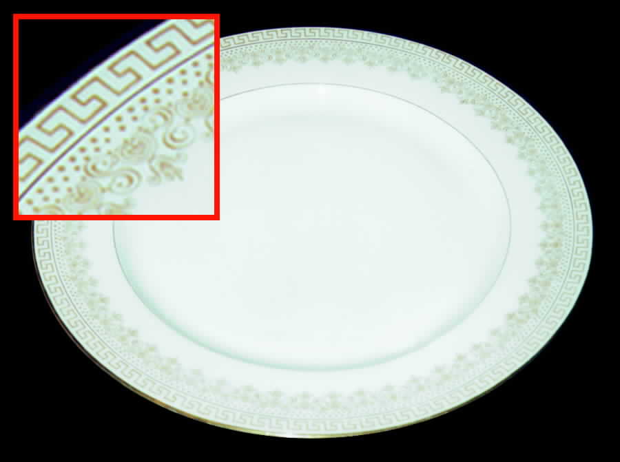 TRV250 Dinner Plate by Tressemanes & Vogt-1
