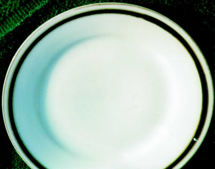 THO162 Dinner Plate by Thomas-1