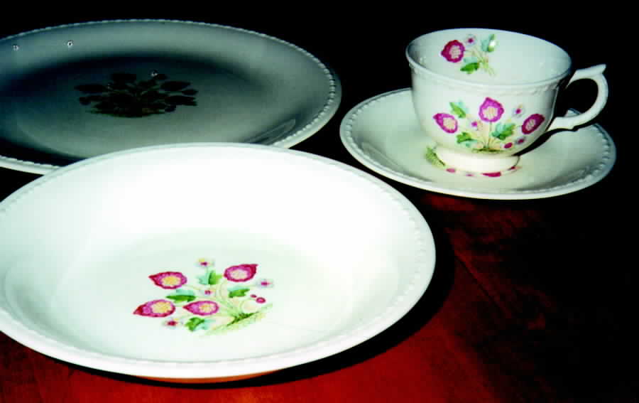 TST404 Dinner Plate by Taylor, Smith & Taylor (Ts&T)-1