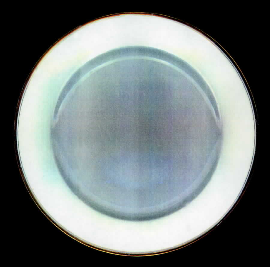TRV253 Dinner Plate by Tressemanes & Vogt-1