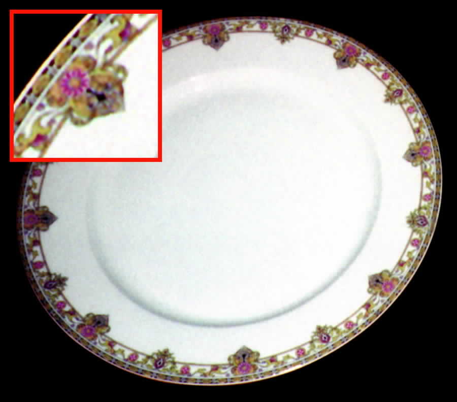 TRV254 Dinner Plate by Tressemanes & Vogt-1