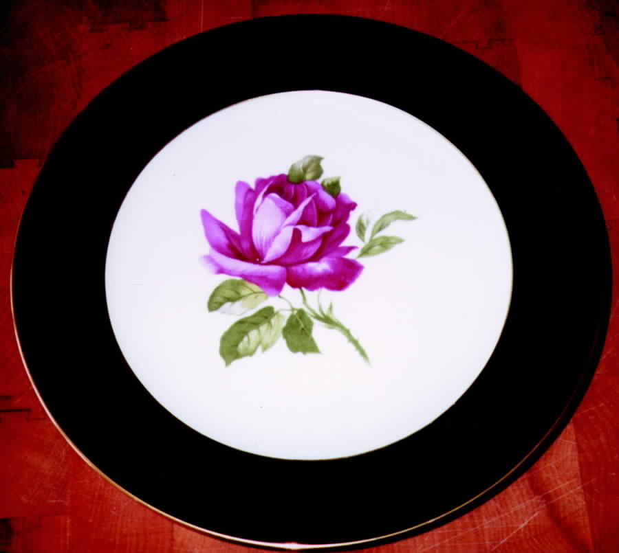 7381 (Black Rim) Dinner Plate by Thomas-1