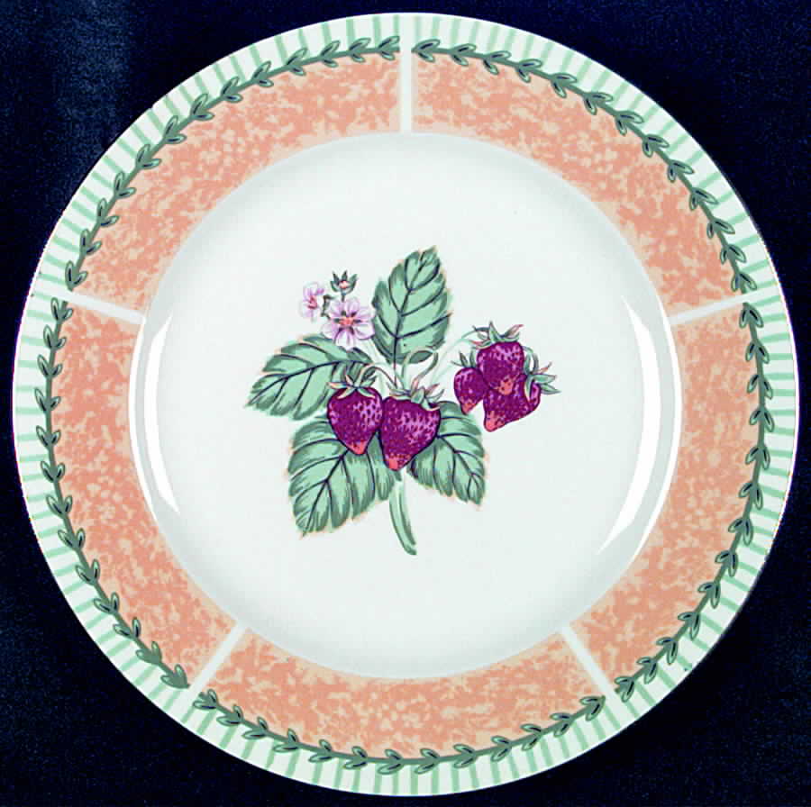 Trieste Dinner Plate by Tienshan-1