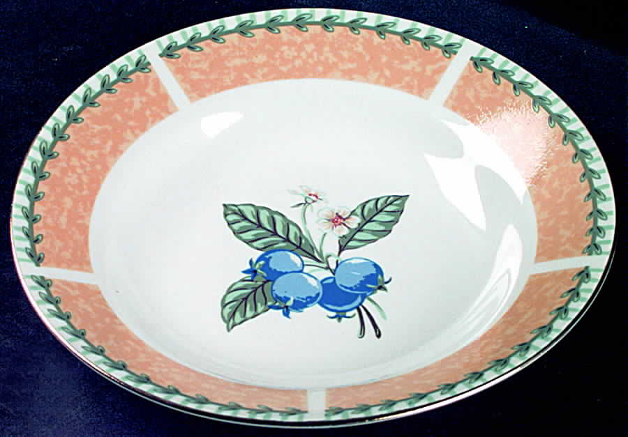 Trieste Rim Soup Bowl by Tienshan-1