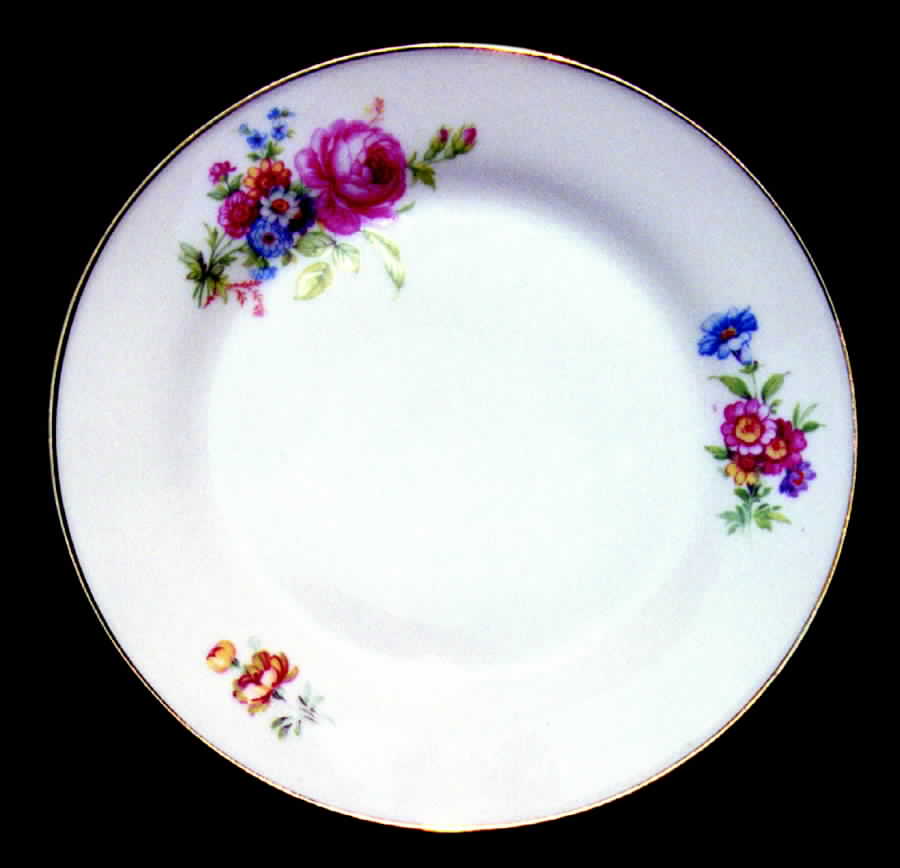 TIR226 Dinner Plate by Tirschenreuth-1