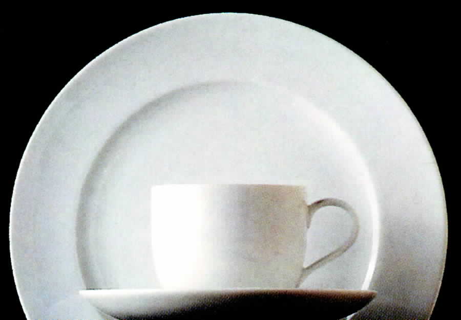 Accent White Dinner Plate by Thomas-1
