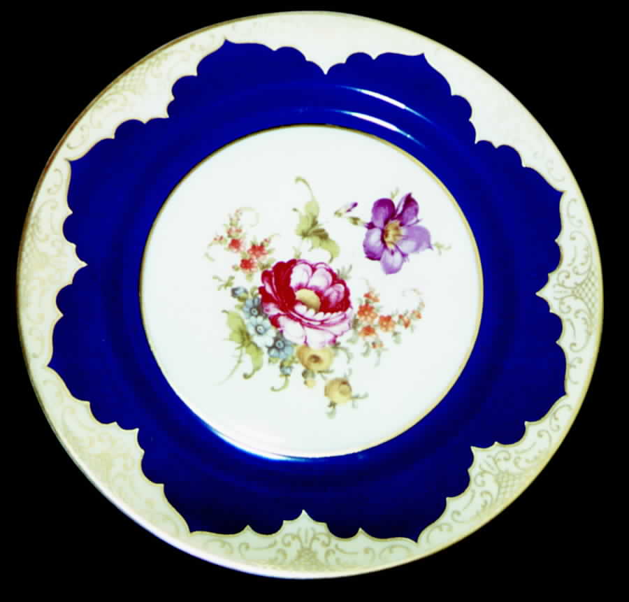 TIR233 Dinner Plate by Tirschenreuth-1