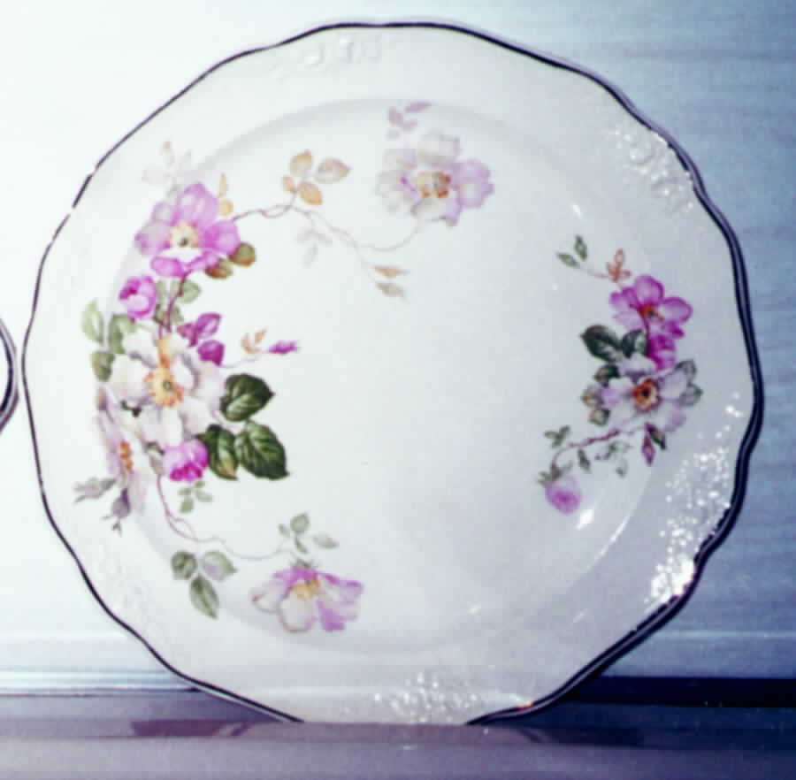 TST423 Dinner Plate by Taylor, Smith & Taylor (Ts&T)-1