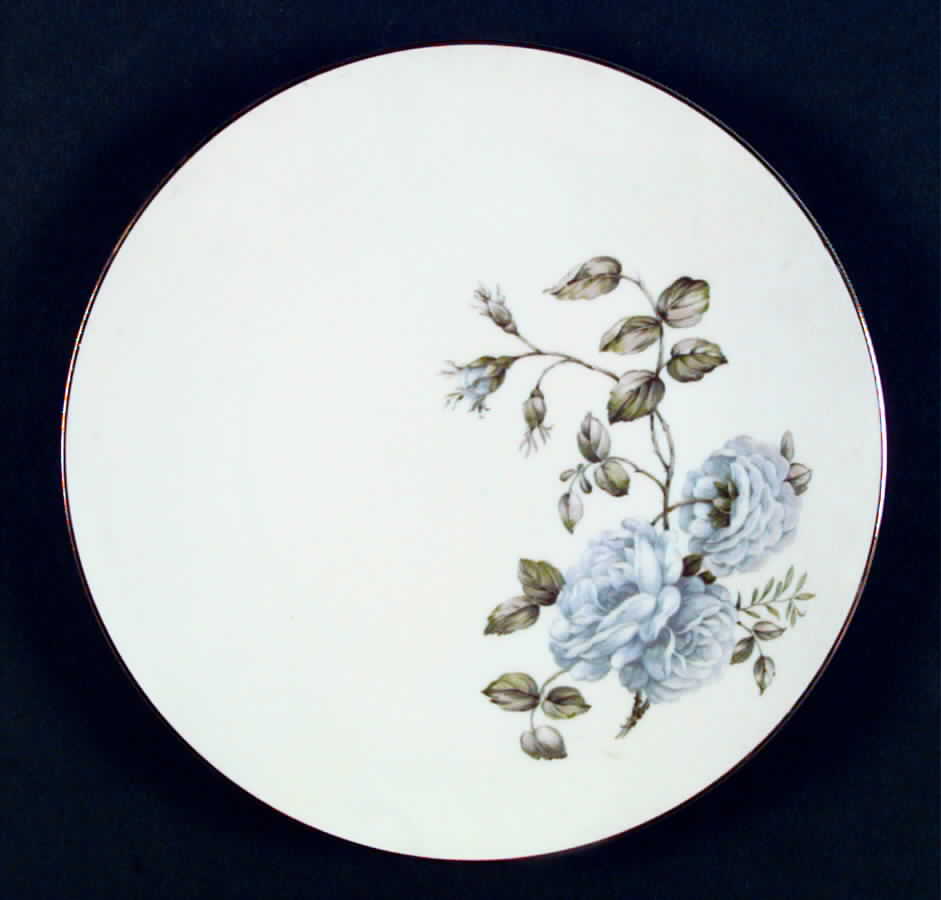 TIR234 Dinner Plate by Tirschenreuth-1