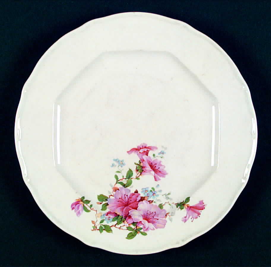 TST432 Dinner Plate by Taylor, Smith & Taylor (Ts&T)-1