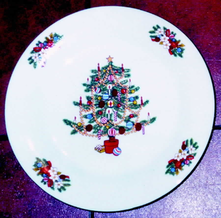 TIE25 Dinner Plate by Tienshan-1