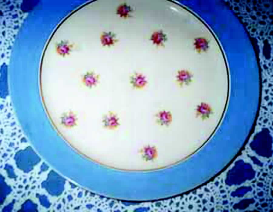 TST437 Dinner Plate by Taylor, Smith & Taylor (Ts&T)-1
