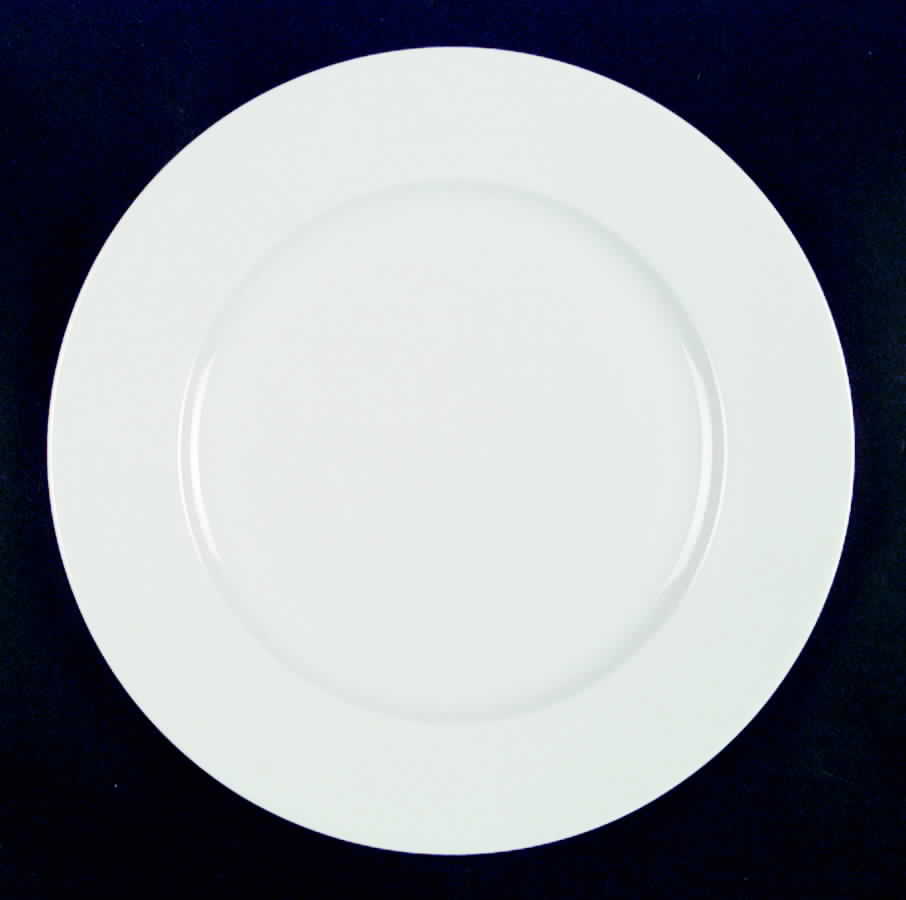 Colonnade White Dinner Plate by Royal Limoges-1