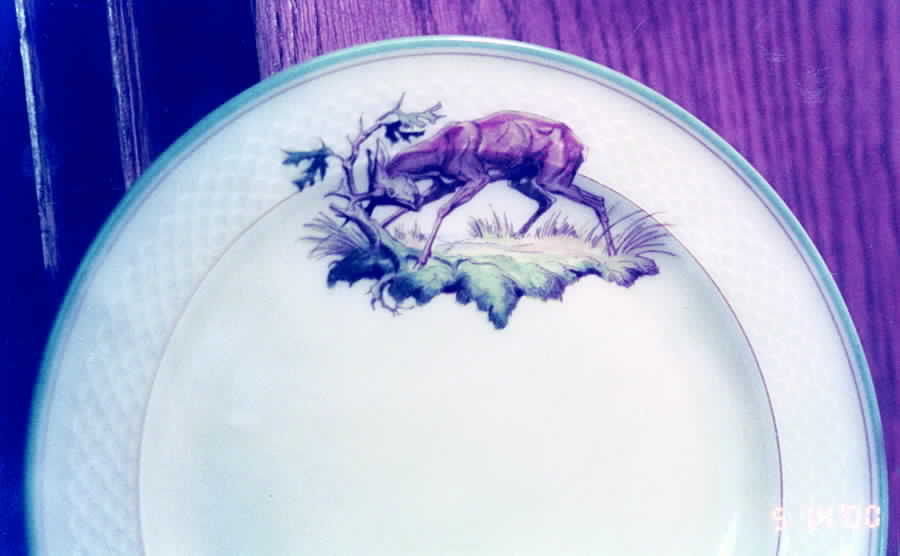 07071 Dinner Plate by Thomas-1