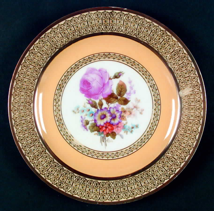 TIR241 Dinner Plate by Tirschenreuth-1