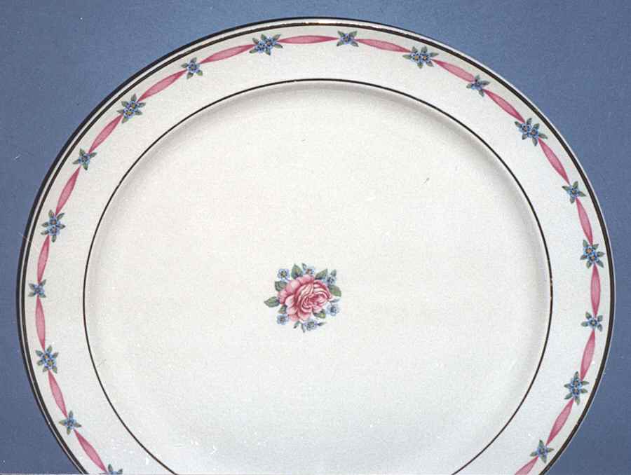 TST1965 Dinner Plate by Taylor, Smith & Taylor (Ts&T)-1