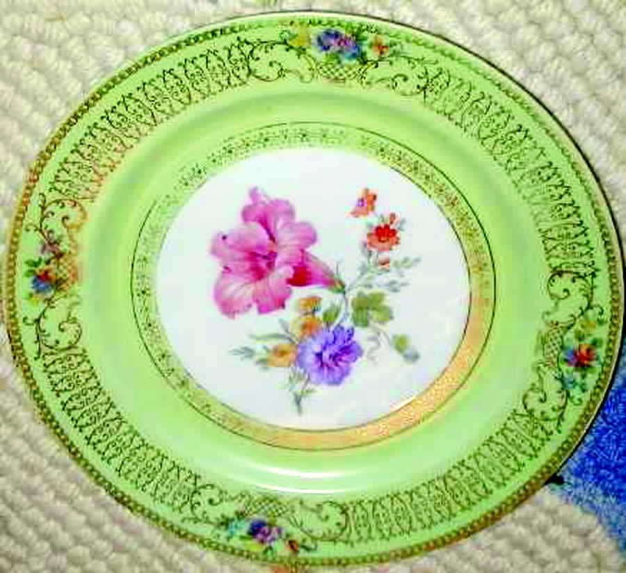 TIR244 Dinner Plate by Tirschenreuth-1