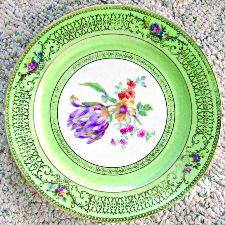 TIR244 Dinner Plate by Tirschenreuth-1