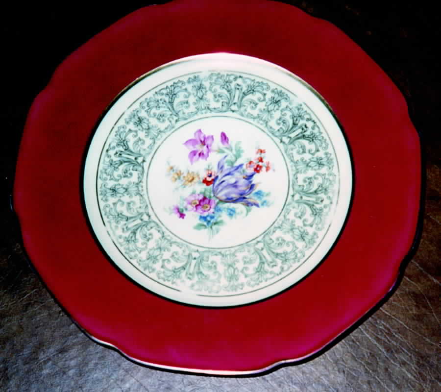 TIR245 Dinner Plate by Tirschenreuth-1