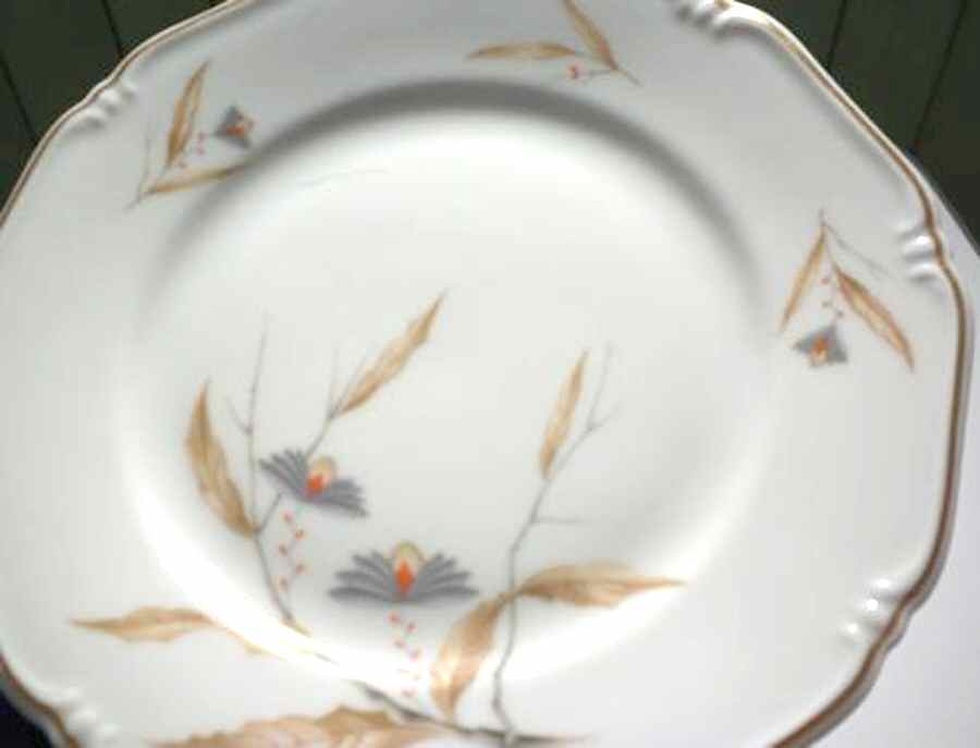 Bayreuth Dinner Plate by Thomas-1