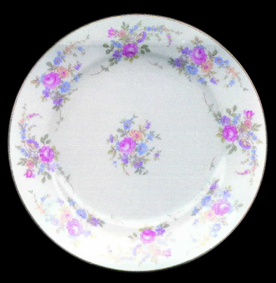 7827 Dinner Plate by Thomas-1