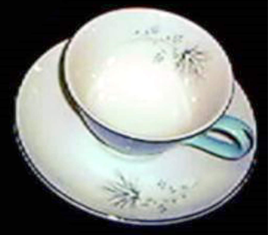Turquoise Symphony Flat Cup & Saucer Set by Taylor, Smith & Taylor (Ts&T)-1