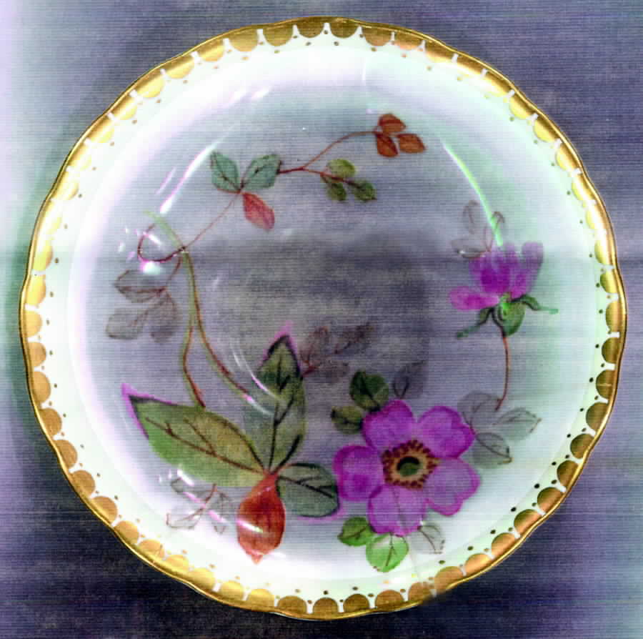 C8440 Saucer by Tuscan - Royal Tuscan-1