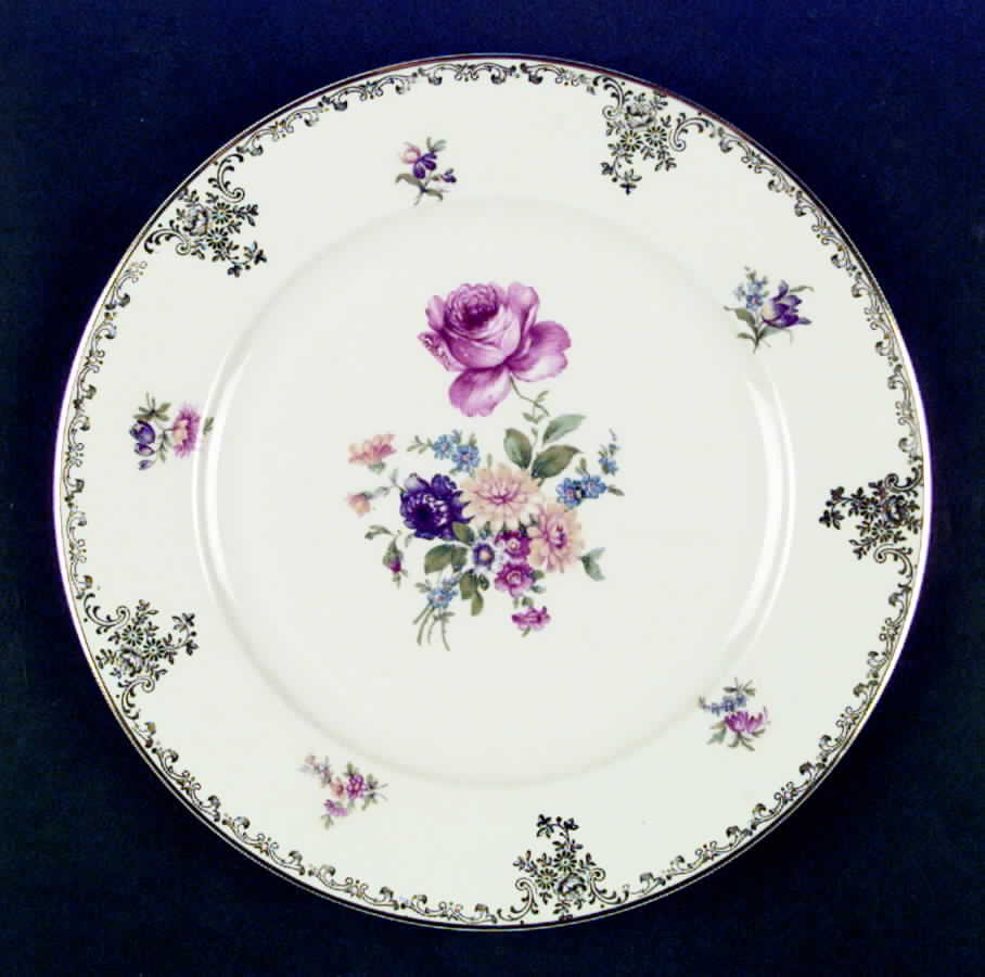 TIR253 Dinner Plate by Tirschenreuth-1