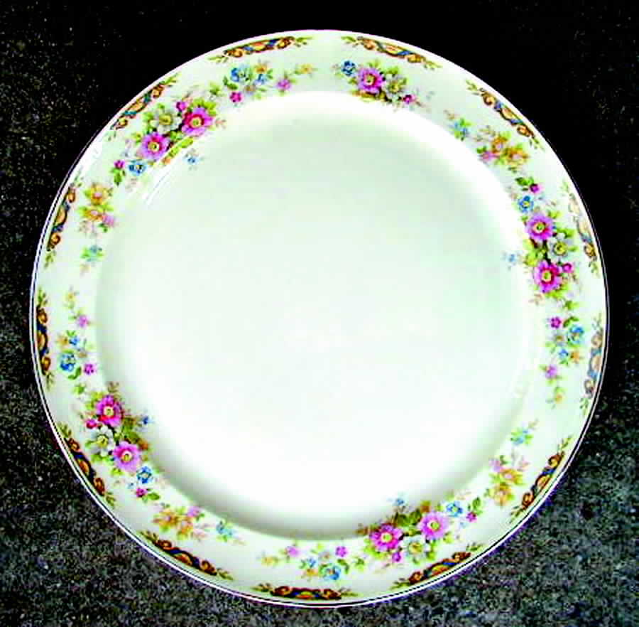 TST465 Dinner Plate by Taylor, Smith & Taylor (Ts&T)-1